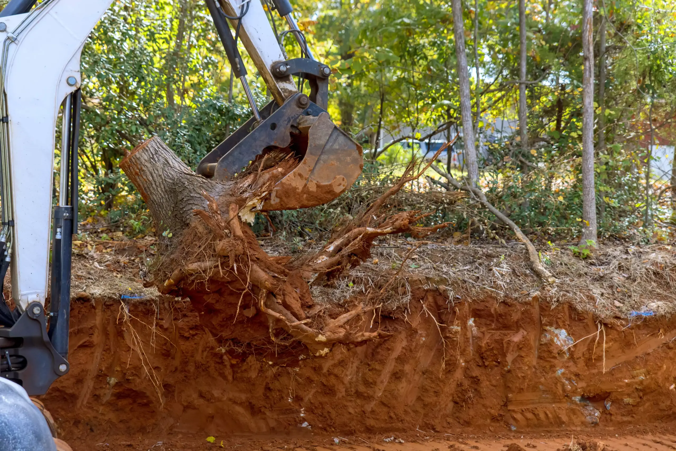 stump